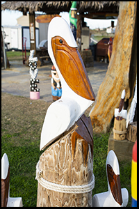 pelican